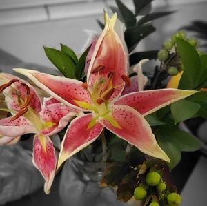 Meet your Posher, Leslie